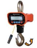 Crane Scale